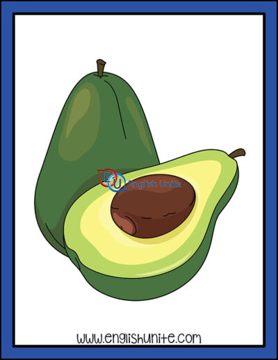 clip art - avocado