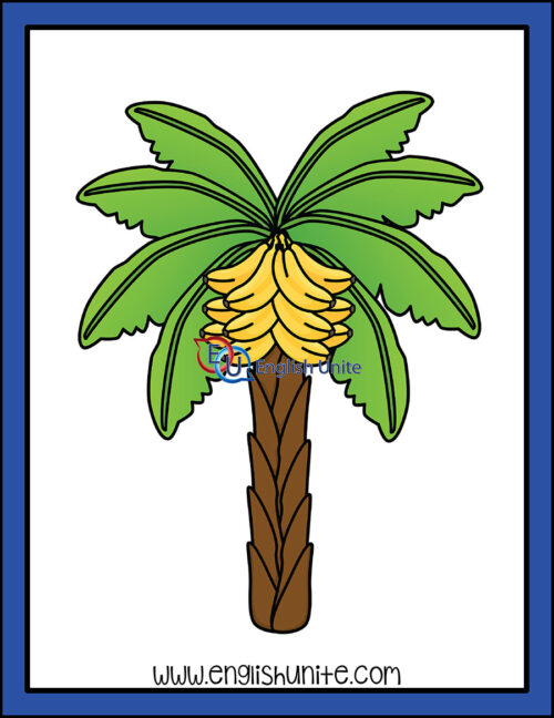 clip art - banana tree