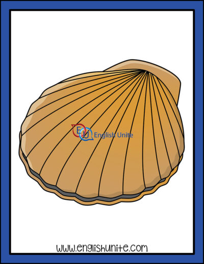 clip art - clam