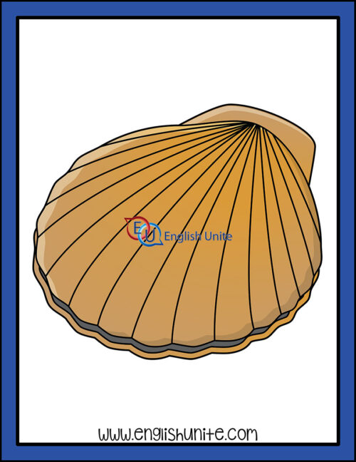 clip art - clam