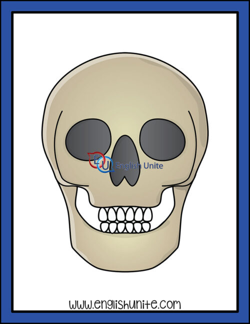 clip art - skull