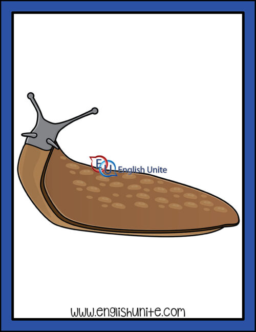 clip art - slug