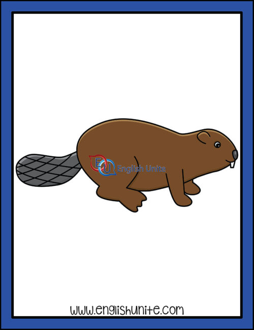 clip art - beaver