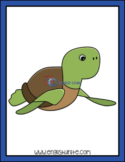 clip art - turtle