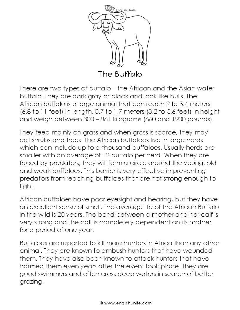 English Unite - Short Story - The Buffalo