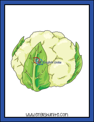 clip art - cauliflower