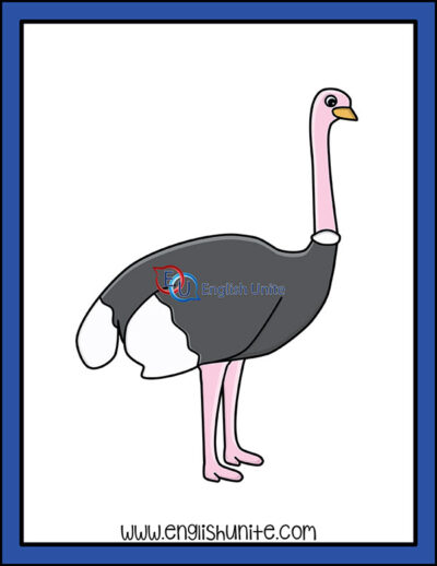 clip art - ostrich