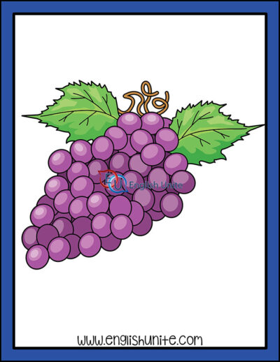 clip art - grapes