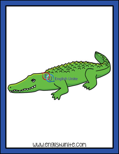 clip art - crocodile