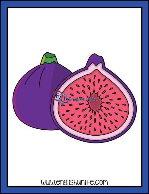 clip art - fig