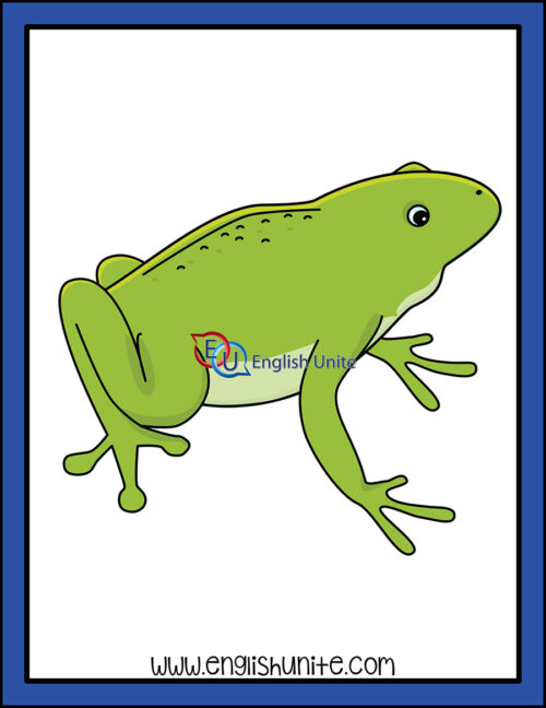 clip art - frog