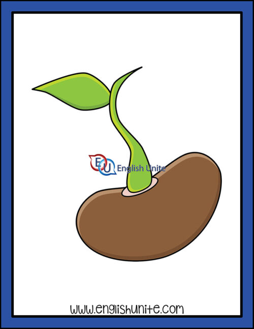 clip art - sprout