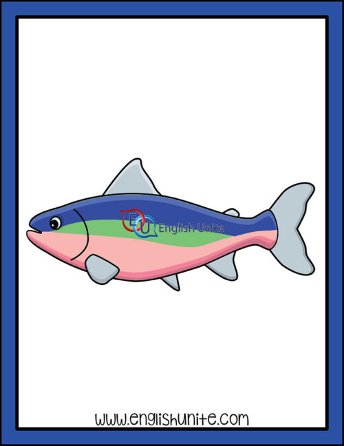 clip art - trout
