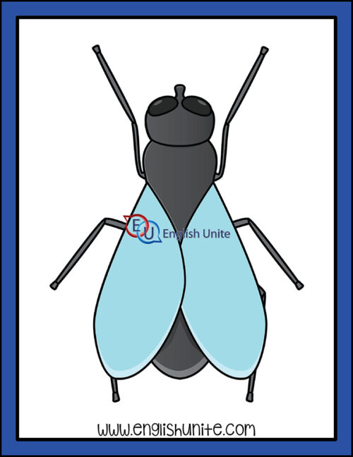 clip art - insect fly