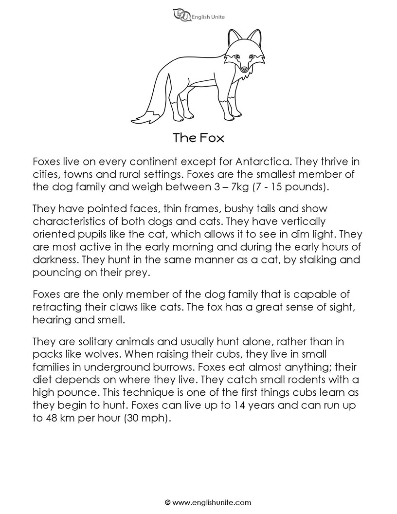 English Unite - Short Story - The Fox