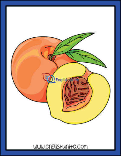 clip art - peach