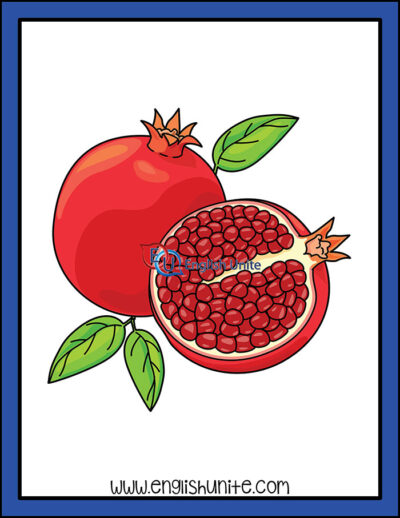 clip art - pomegranate