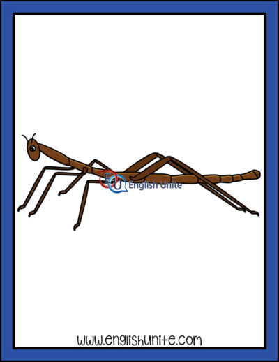clip art - insect