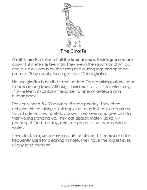 English Unite - Short Story - The Giraffe