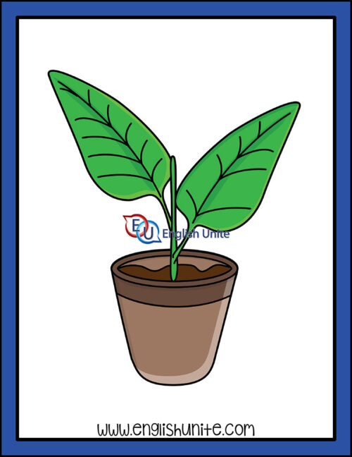 clip art - plant