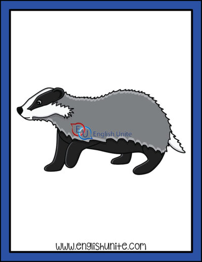clip art - badger