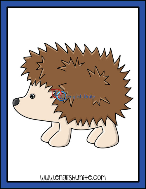 clip art - hedgehog