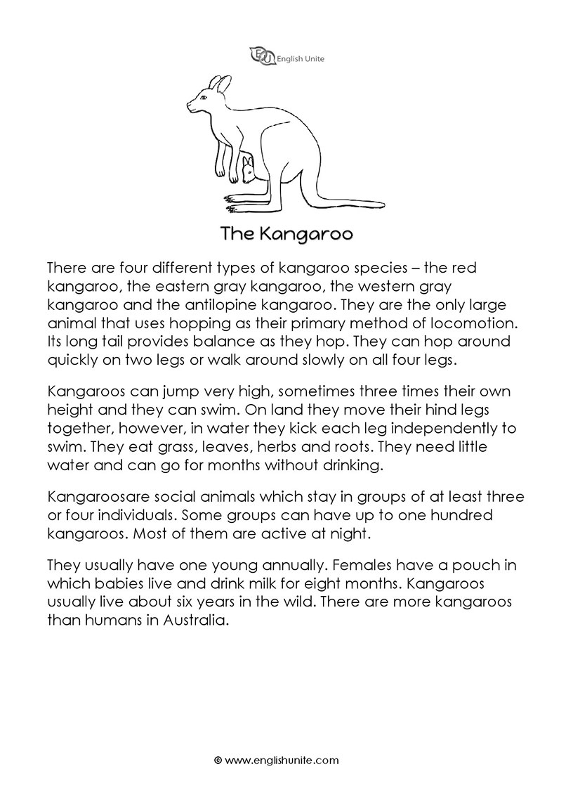 English Unite - Short Story - The Kangaroo