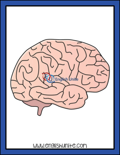 clip art - brain