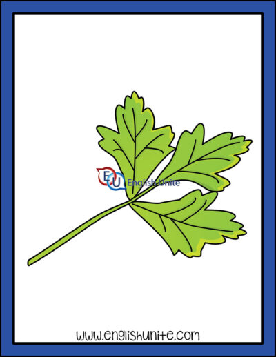 clip art - parsley