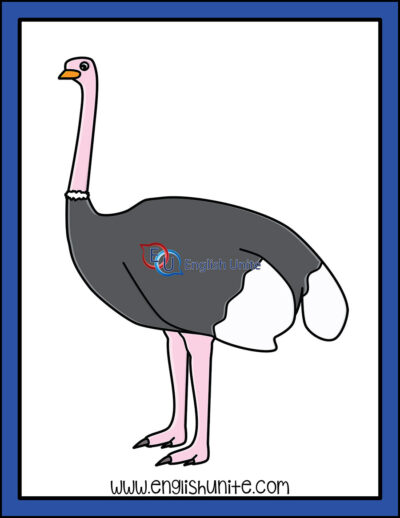 clip art - ostrich