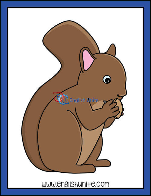 clip art - squirrel