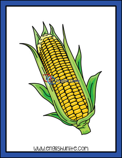 clip art - corn