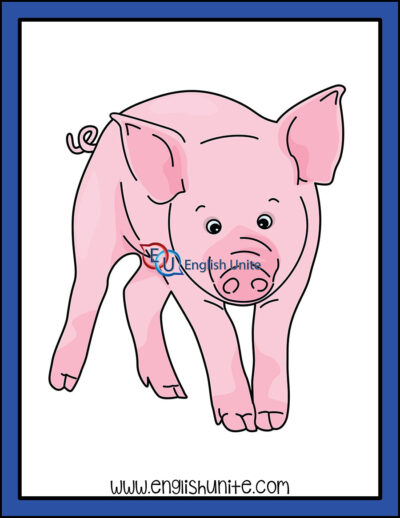 clip art - pig
