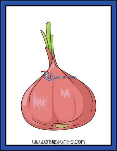 clip art - onion