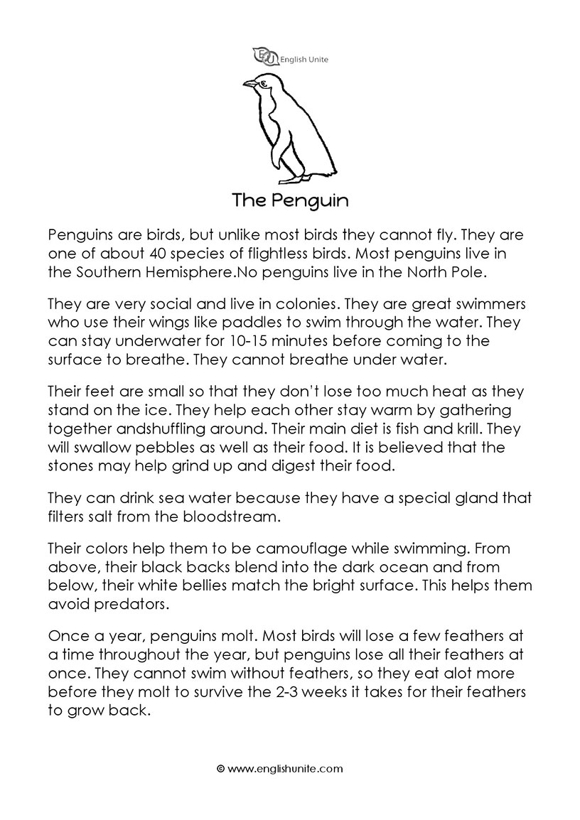 English Unite Short Story The Penguin 