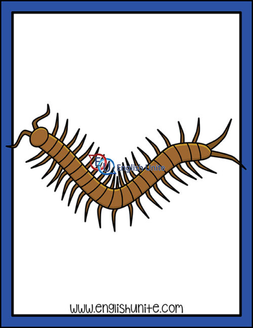 clip art - centipede