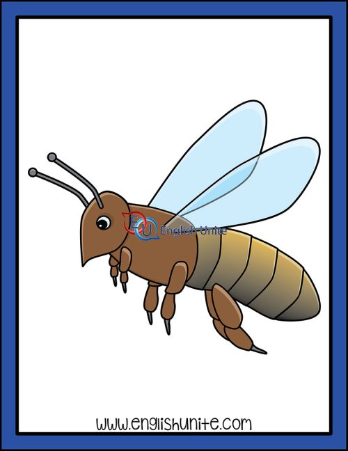 clip art - bee