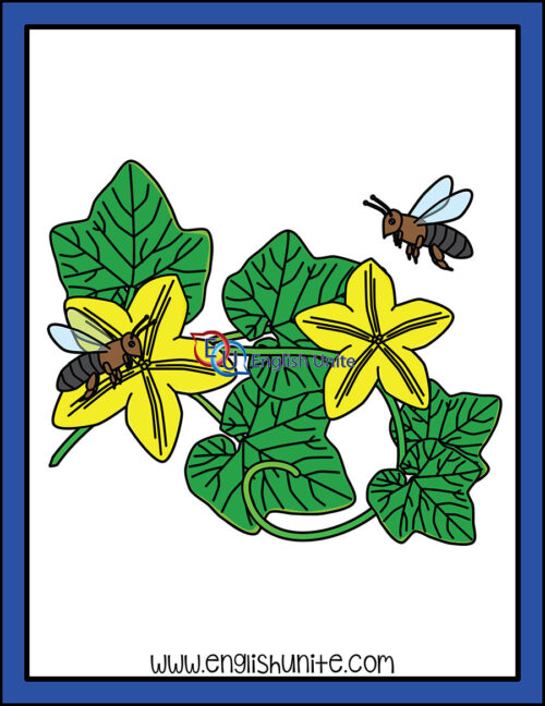 clip art - pollination