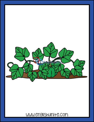 clip art - vine with green pumpkin