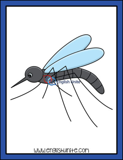 clip art - mosquito