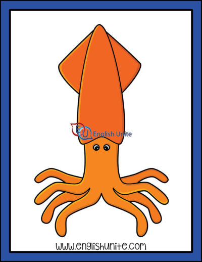 clip art - squid