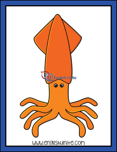 clip art - squid