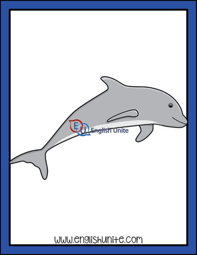 clip art - dolphin