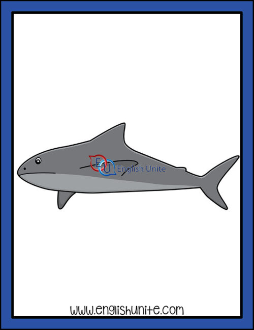 clip art - shark