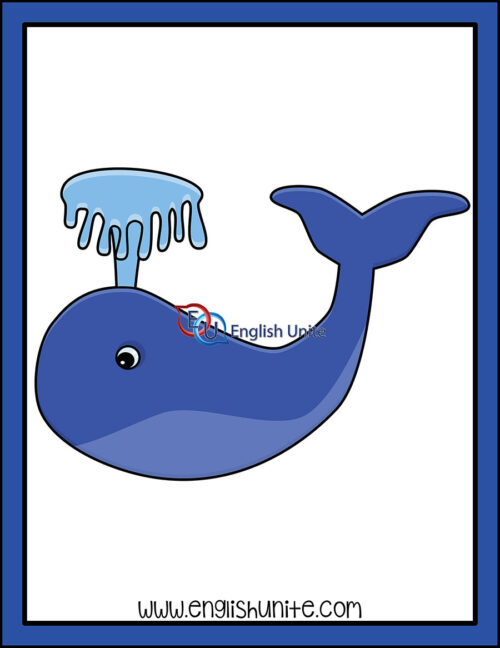 clip art - whale