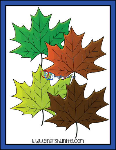 clip art - maple leaves