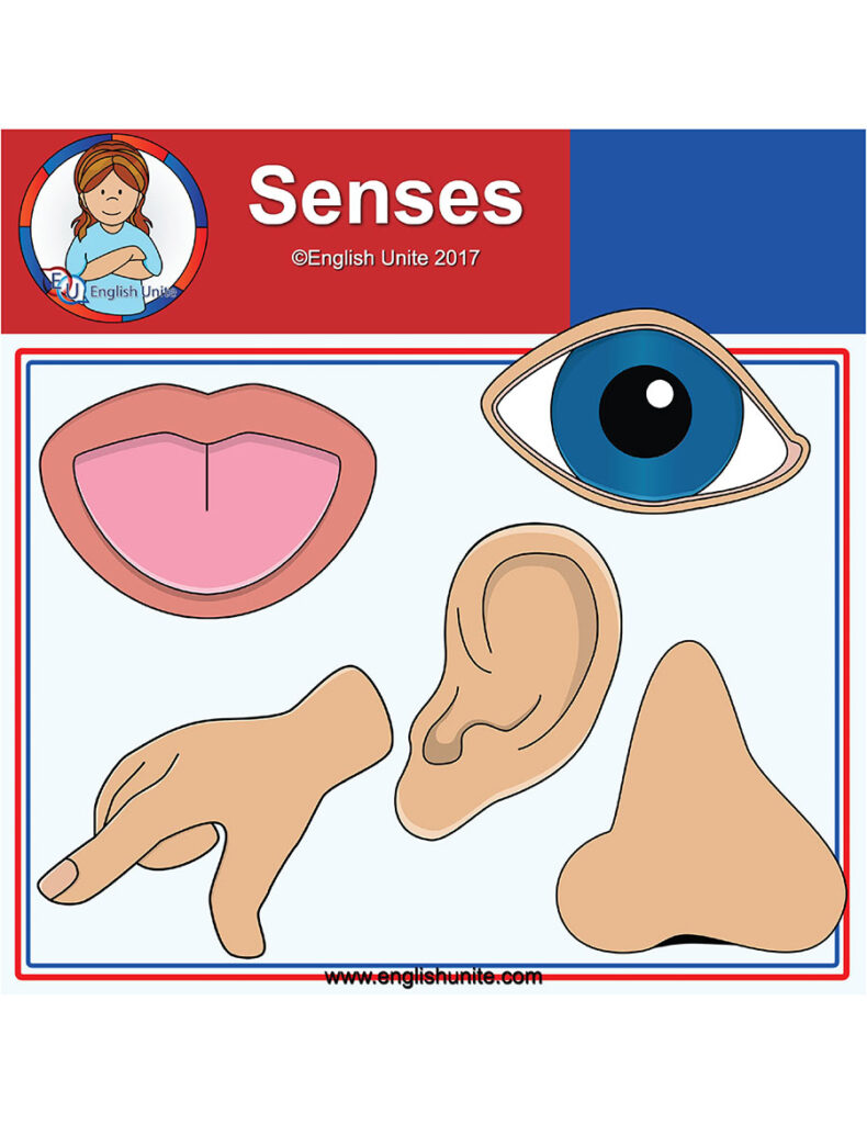 English Unite - Clip Art Image - Senses