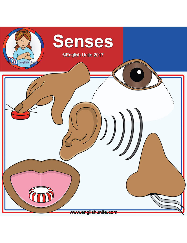 English Unite - Clip Art Image - Senses