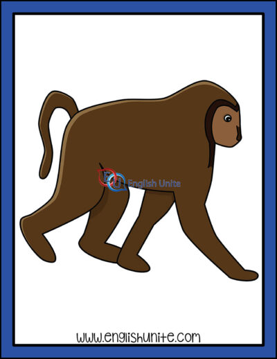 clip art - baboon