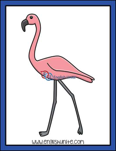 clip art - flamingo